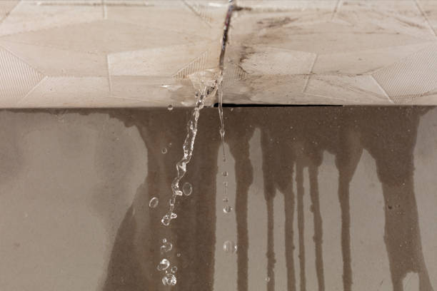 Professional Structural Drying technician working in Cortland, IL